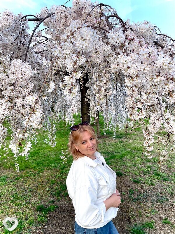 Елена, 53, Саратове — анкета №2222959