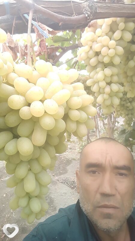Рустамхон, 51, Бийске — анкета №2227800
