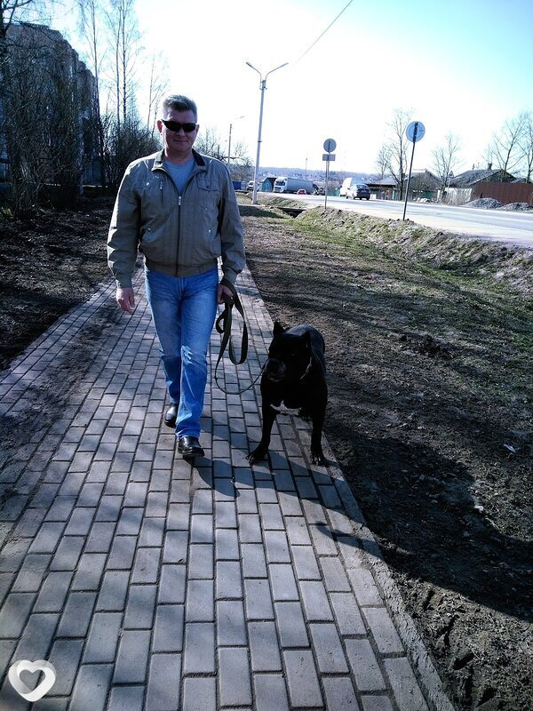 Андрей, 53, Санкт-Петербурге — анкета №2229375