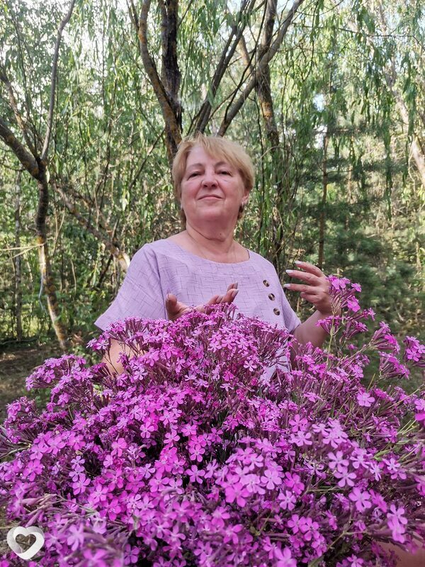 Анна, 69, Минске — анкета №2241528