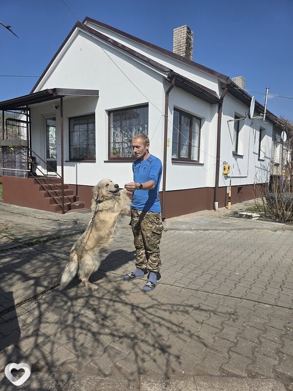 Алексей, 38, Калининграде — анкета №2241463