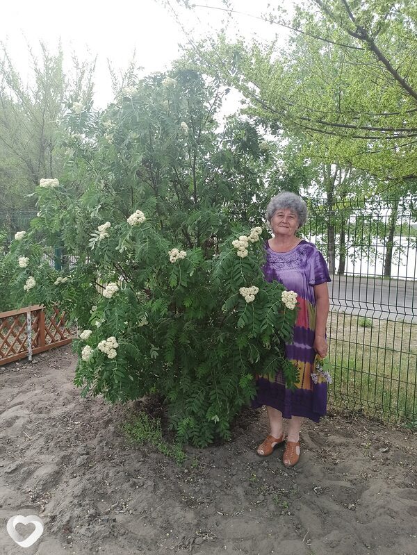 Галина, 69, Новоалтайске — анкета №2242344