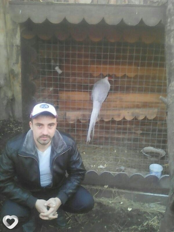 Степан, Зеленокумск