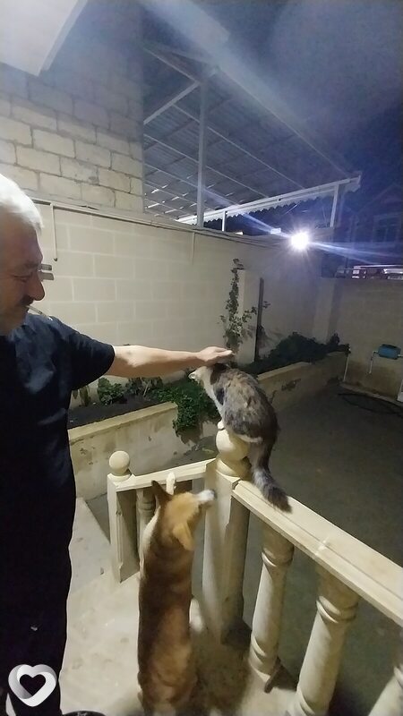 İslam, 52, Баку — анкета №2248066