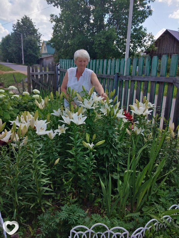 Нина, 63, Ярославле — анкета №2251778