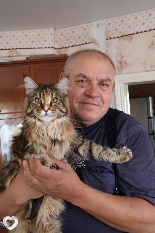 Василий, 62, Старом Осколе — анкета №2252410