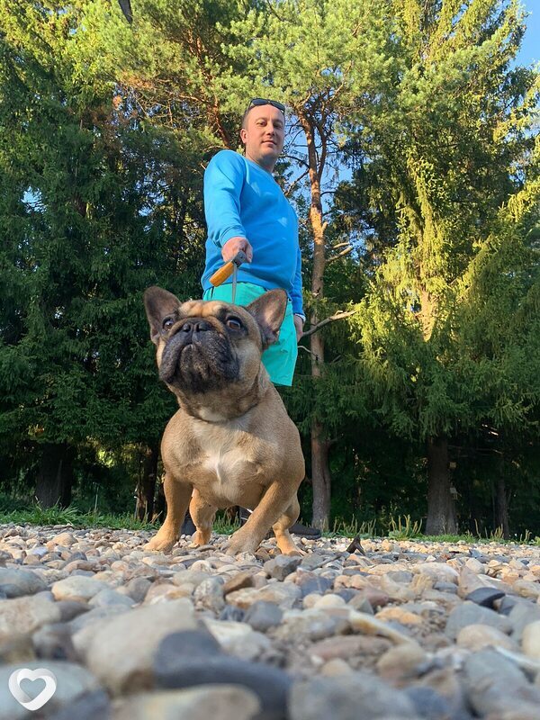 Дмитрий, 35, Мариуполе — анкета №2254588