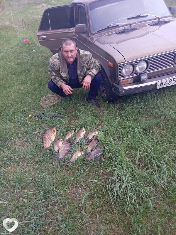 Дима, Курская