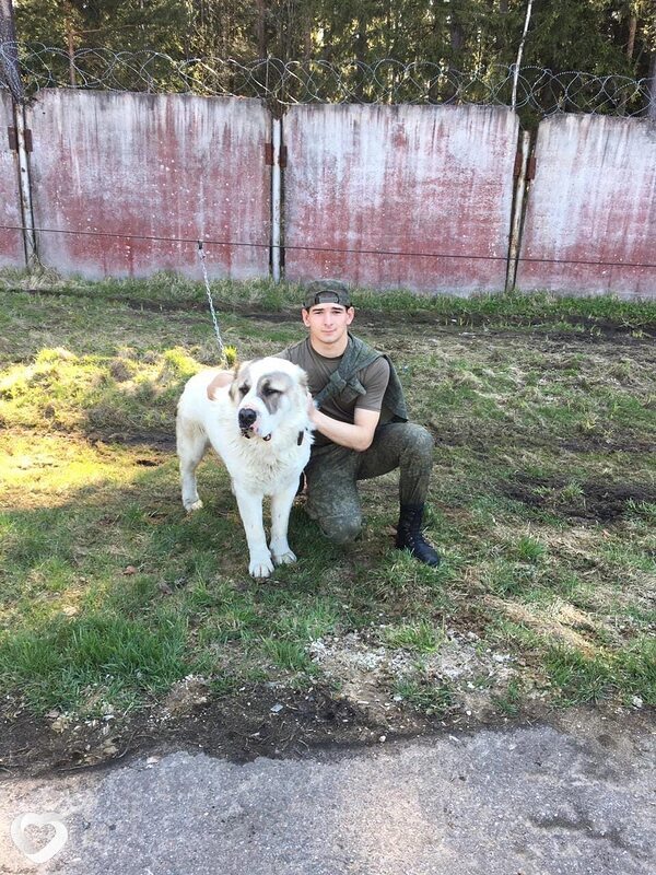 Руслан, 33, Махачкале — анкета №2259970