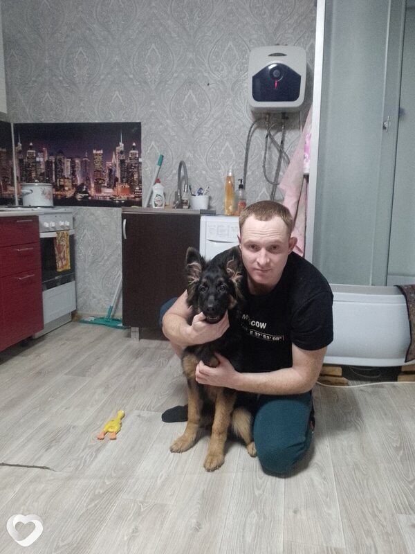 Сергей, 31, Перми — анкета №2263059