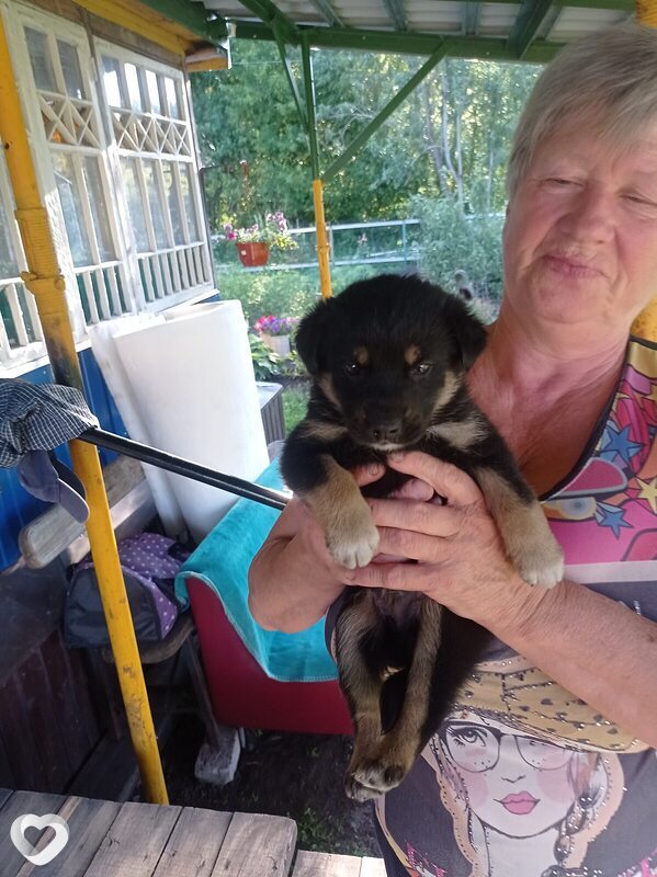 Любовь, 63, Рязани — анкета №2266309
