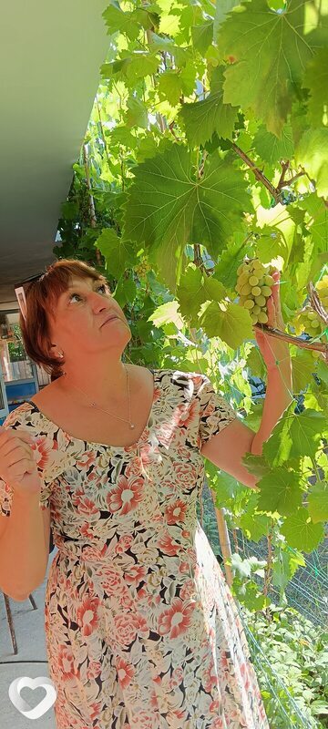 Алла, 61, Краснодаре — анкета №2273645