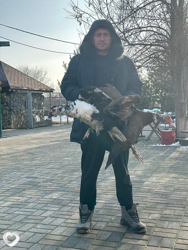 Дмитрий, 43, Алматы — анкета №2273836