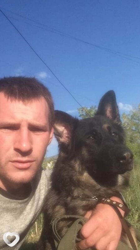 Владимир, 32, Темиртау — анкета №2284225