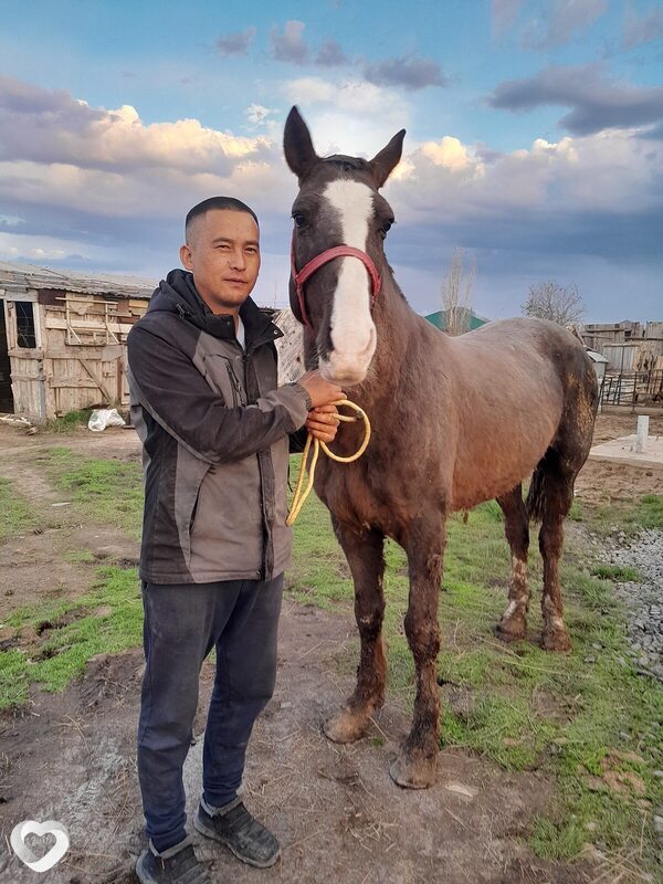 Еркош, 38, Астане — анкета №2683450