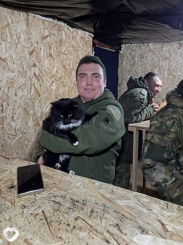 Колян, 37, Симферополе — анкета №2287162