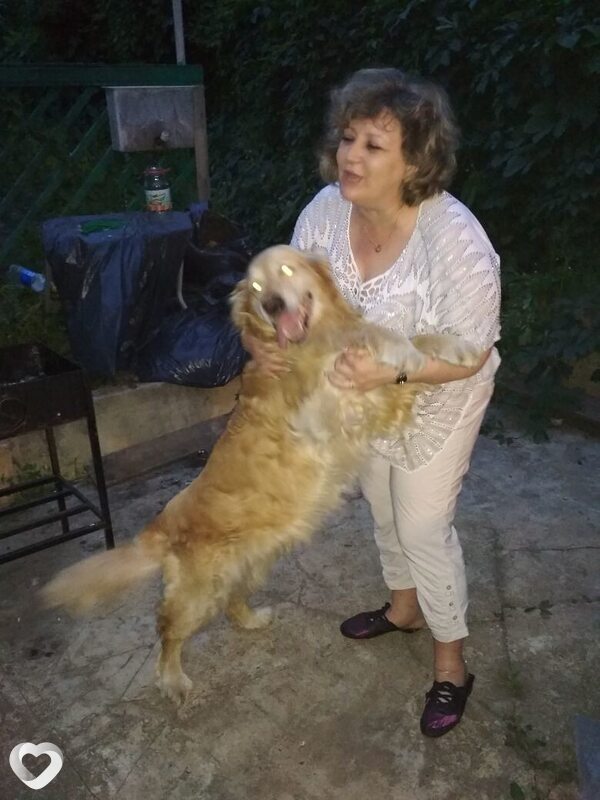 Светлана, 56, Туле — анкета №2289567