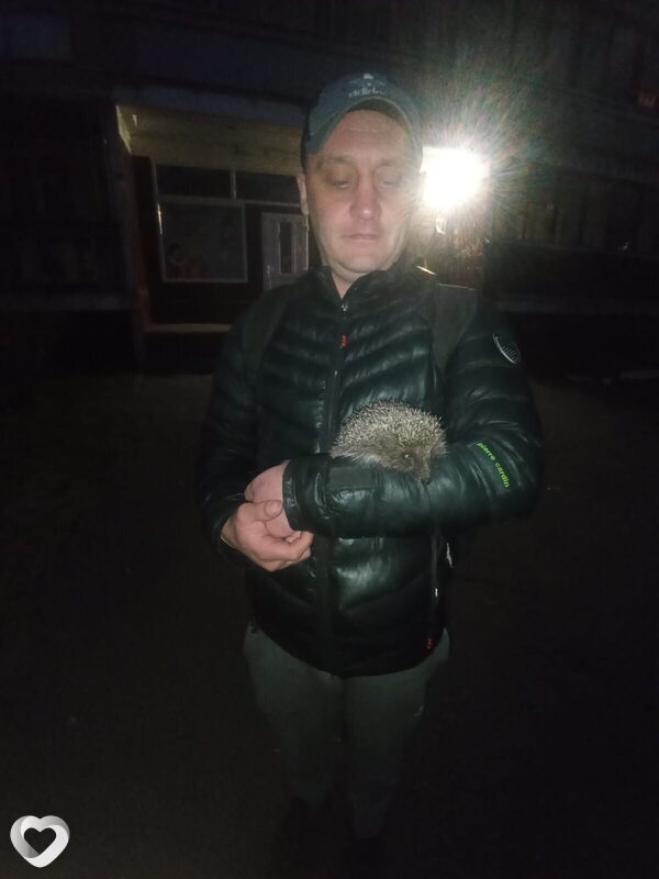 Roman, Рига