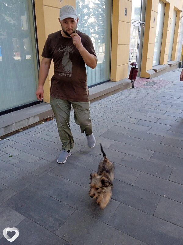 Сергей, 42, Ростове-на-Дону — анкета №2299320