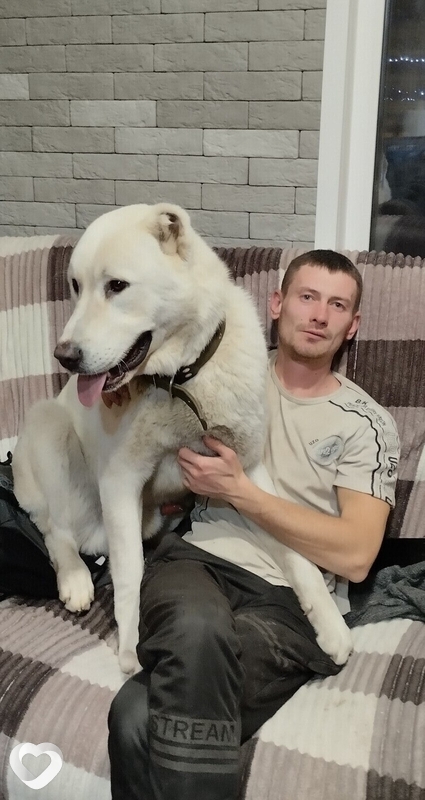 Саша, 33, Новогрудке — анкета №2304468