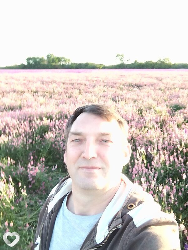 Роман, Целина