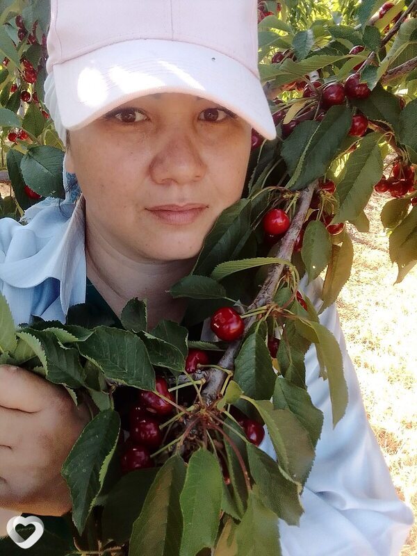 Альфия, 39, Астрахани — анкета №2312031