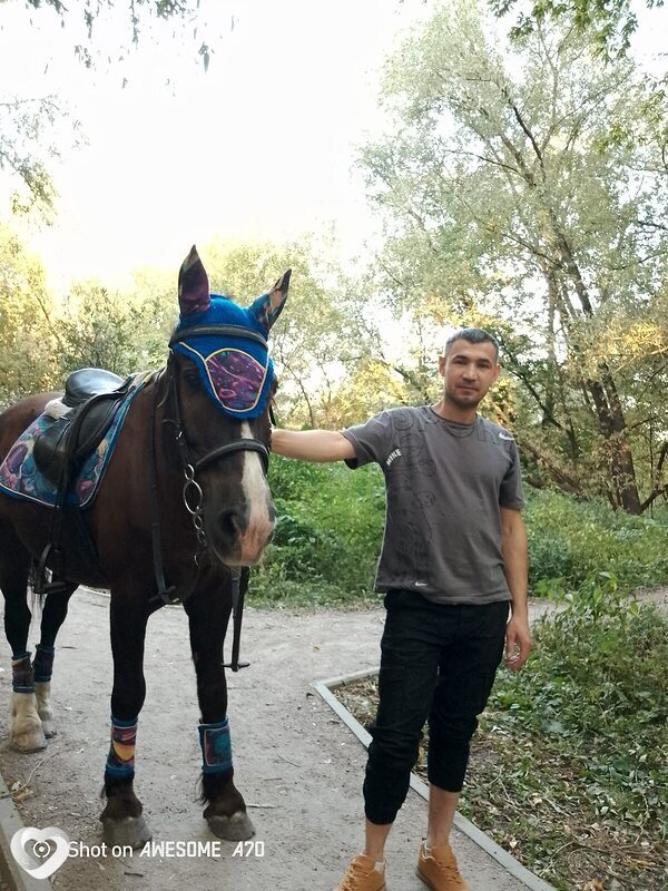 Donii, 34, Москве — анкета №2317162