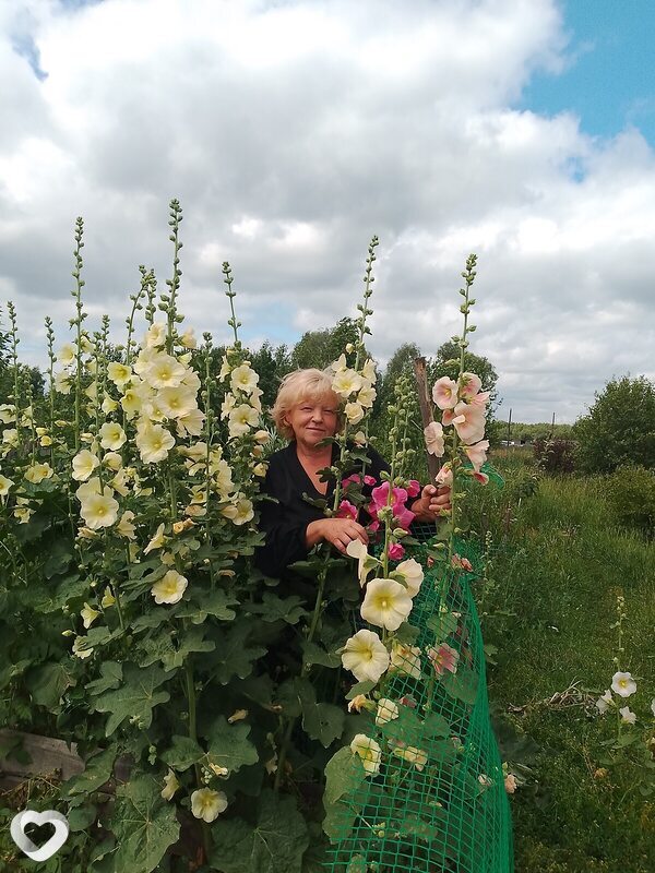 Светлана, 57, Томске — анкета №2317952