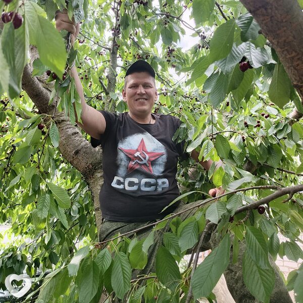 Александр, 50, Муроме — анкета №2321682