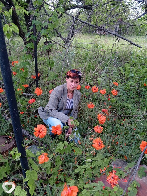 Наташа, 54, Донецке — анкета №2323148