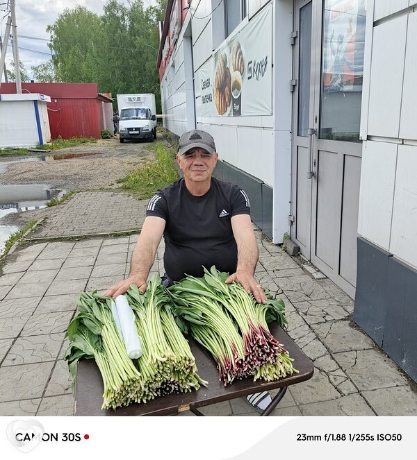 Виталий, Яя