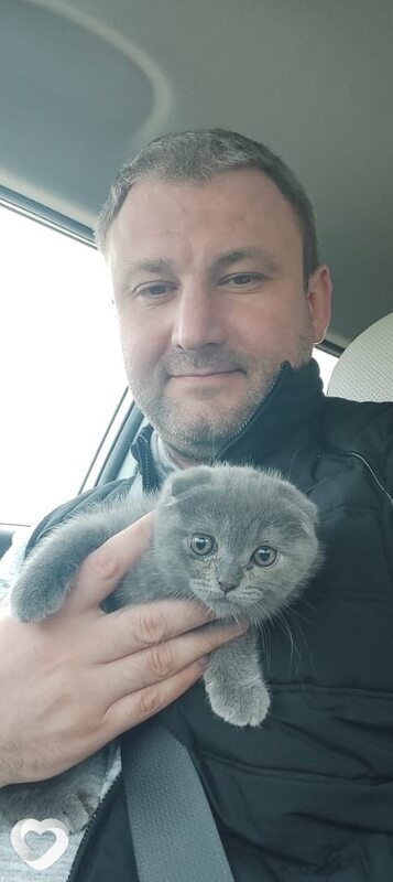 Дмитрий, 43, Москве — анкета №2332022