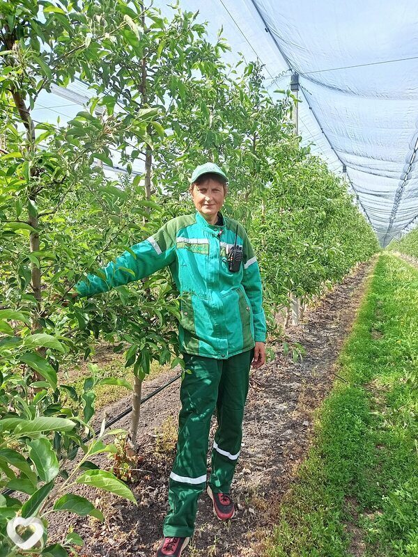 Елена, 43, Курске — анкета №2332348