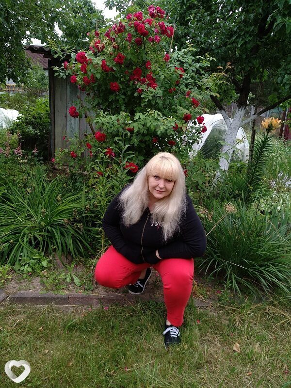 Светлана, 62, Минске — анкета №2332794