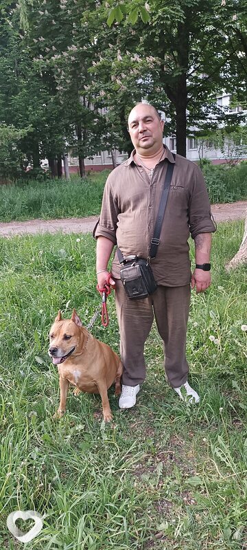 Виктор, 51, Брянске — анкета №2334390