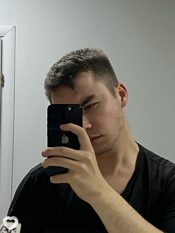 Лев, Плесецк