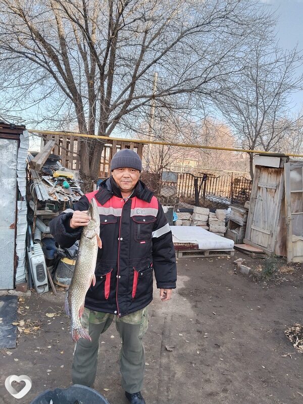 Канат, 51, Актобе — анкета №2337391