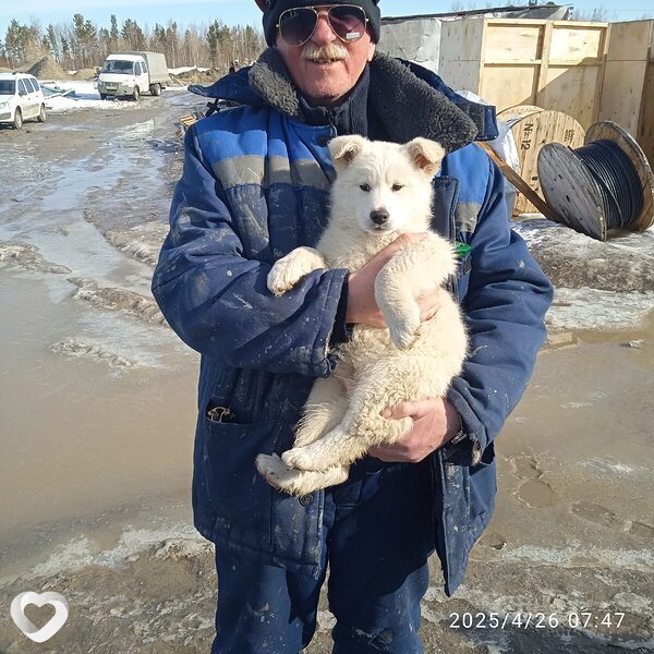 Алексей, 62, Уфе — анкета №2337971