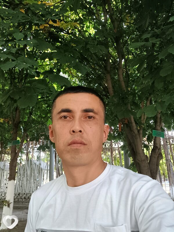 Толик, Лотошино