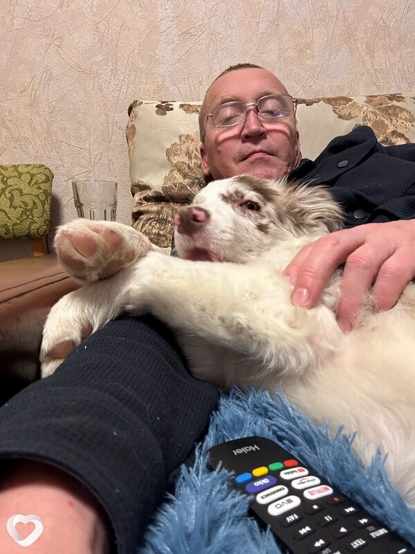 Дмитрий, 49, Шуи — анкета №2340993
