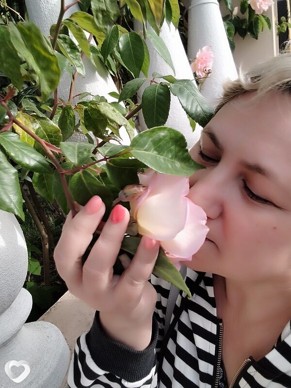 Елена, Лазаревское