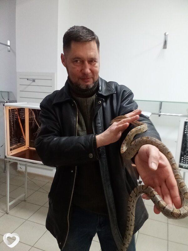 Андрей, 50, Новочеркасске — анкета №2349940