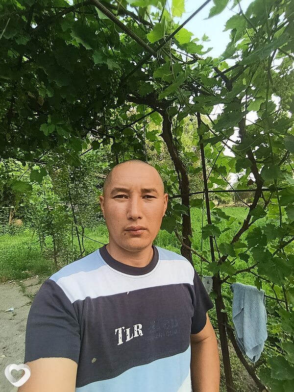 Диловар, 36, Бишкек — анкета №2351680