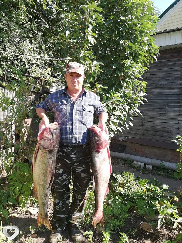Николай, 60, Москве — анкета №2354181
