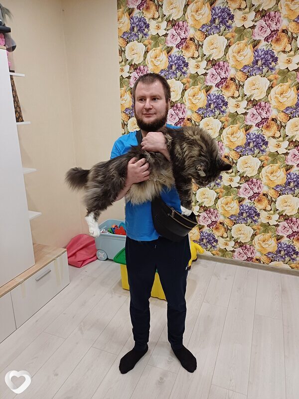 Павел, 38, Нижнем Тагиле — анкета №2354209