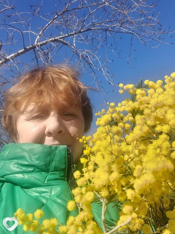 Наталья, 55, Волгограде — анкета №2358937