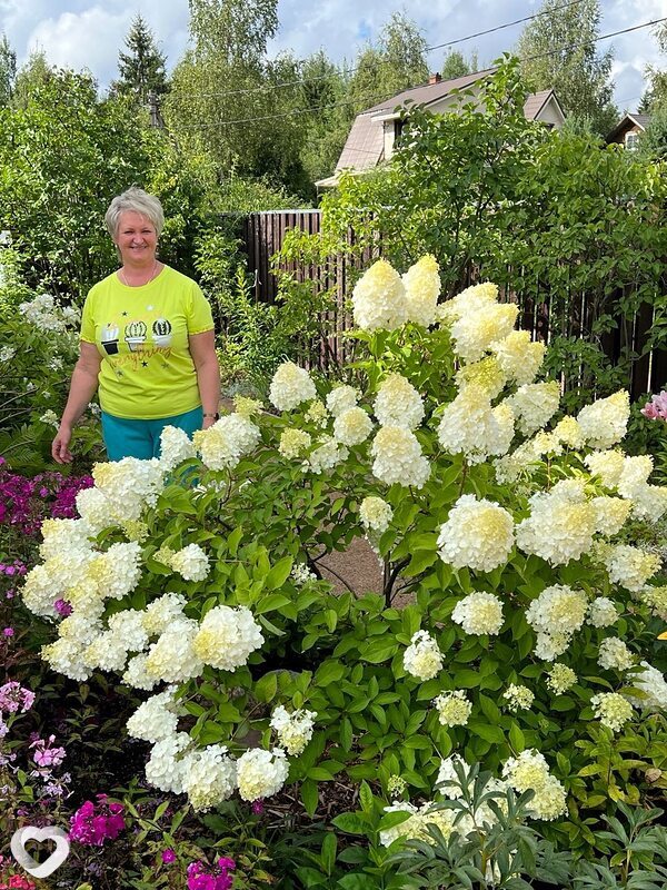 Татьяна, 56, Санкт-Петербурге — анкета №2361106