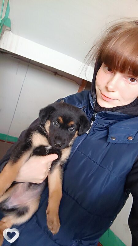 Ник, 28, Саратове — анкета №2364081