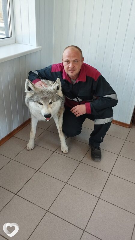 Владимир, 33, Орске — анкета №2364108