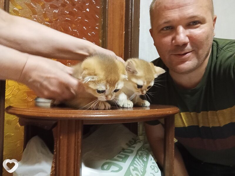 Нажми Здесь, 47, Москве — анкета №2365745